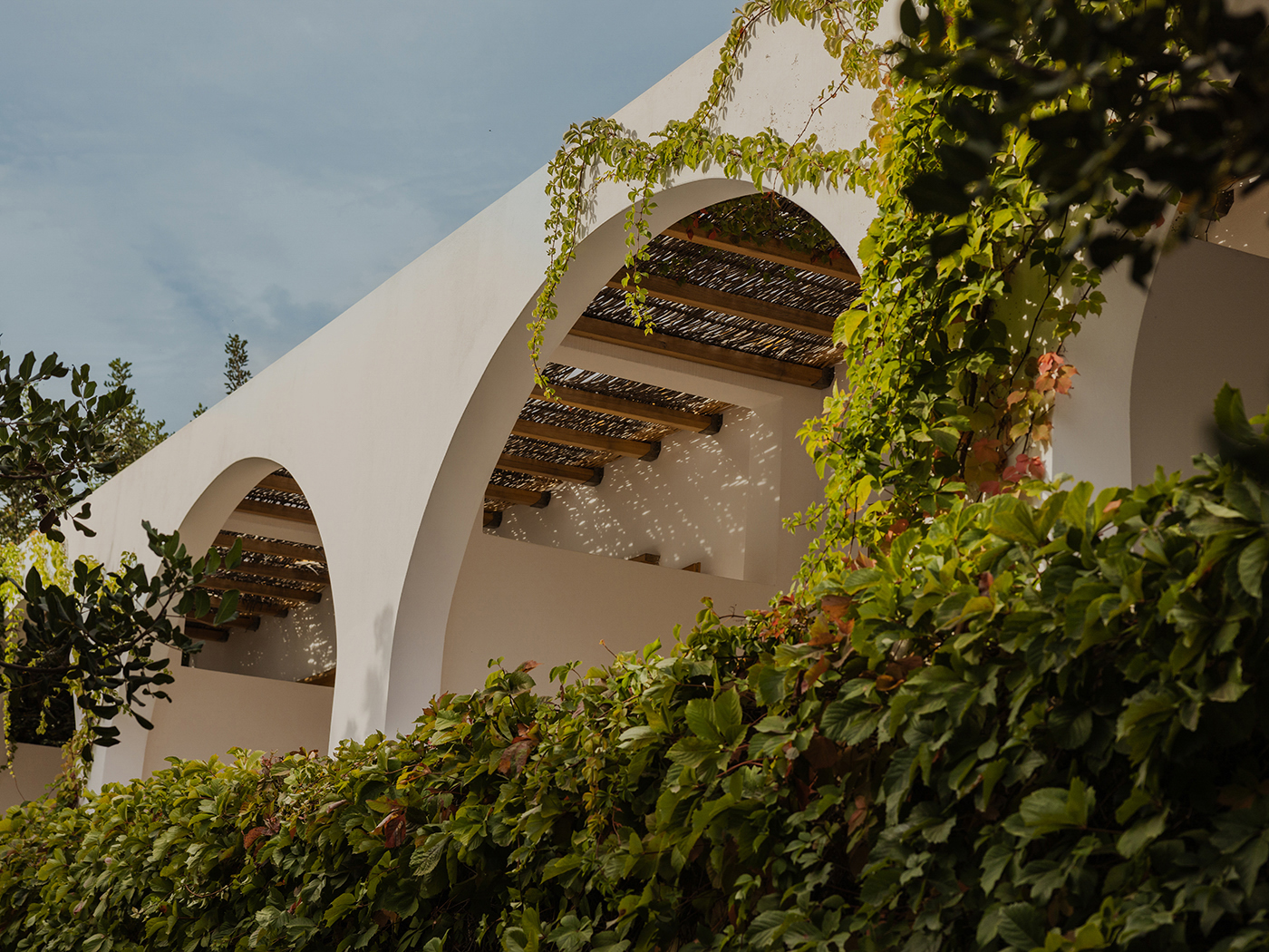 Minos Beach Nature Suite Main Building R 06