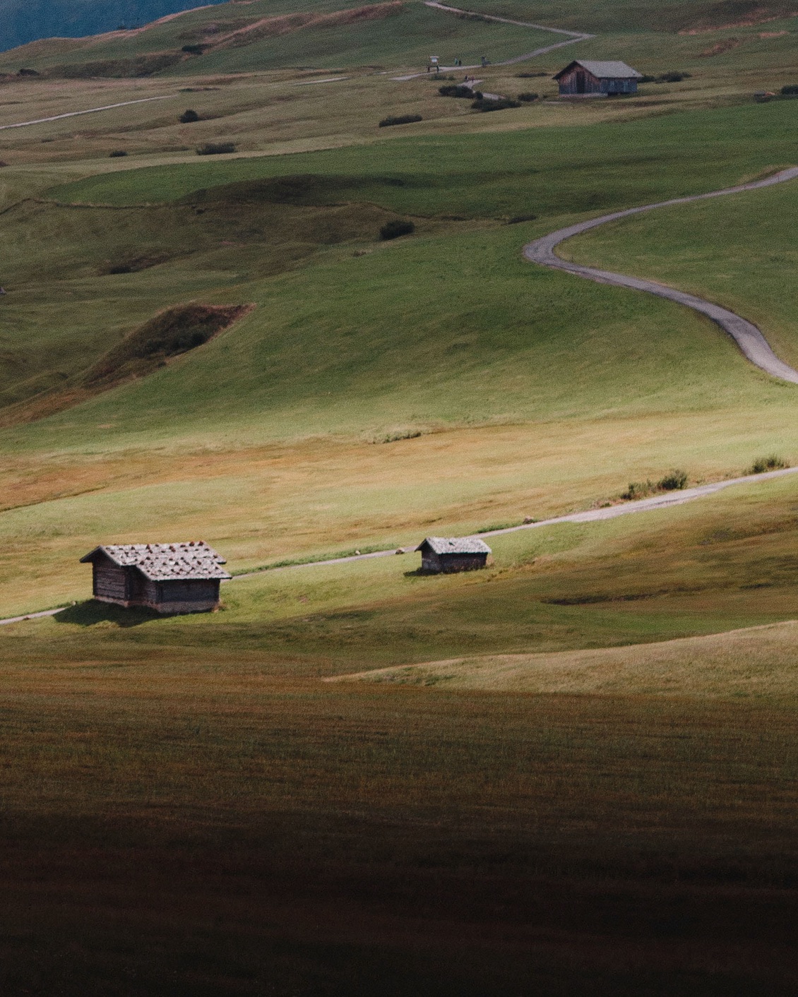 17 Destination South Tyrol Castelrotto Landscape