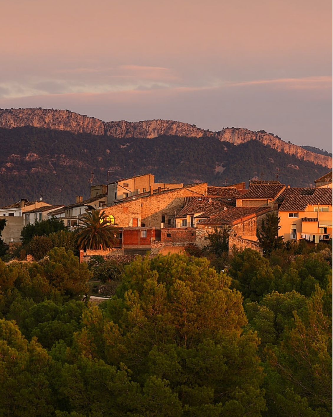 Journal Article Monastic 21.2