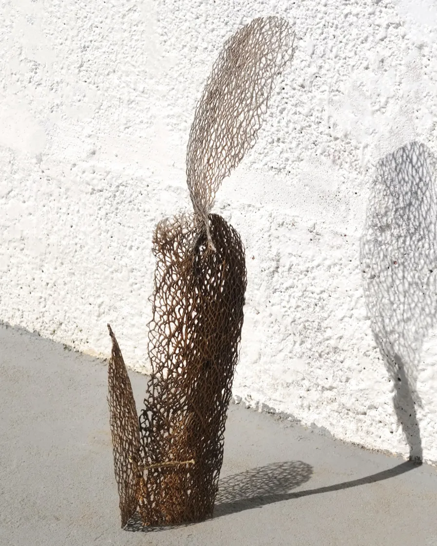 BP My Private Oddyssey 01