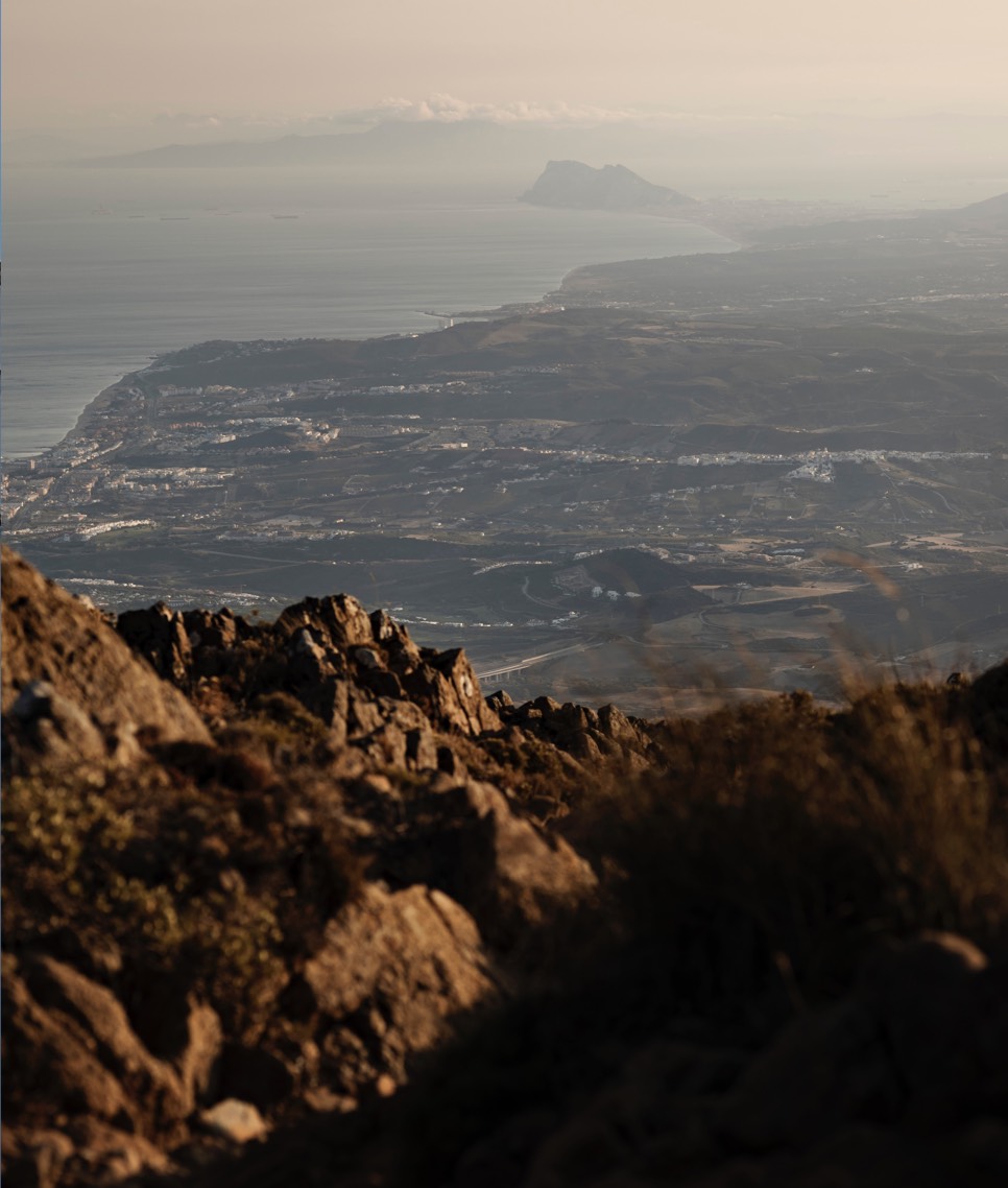 Journal Article Autumn 2023 11