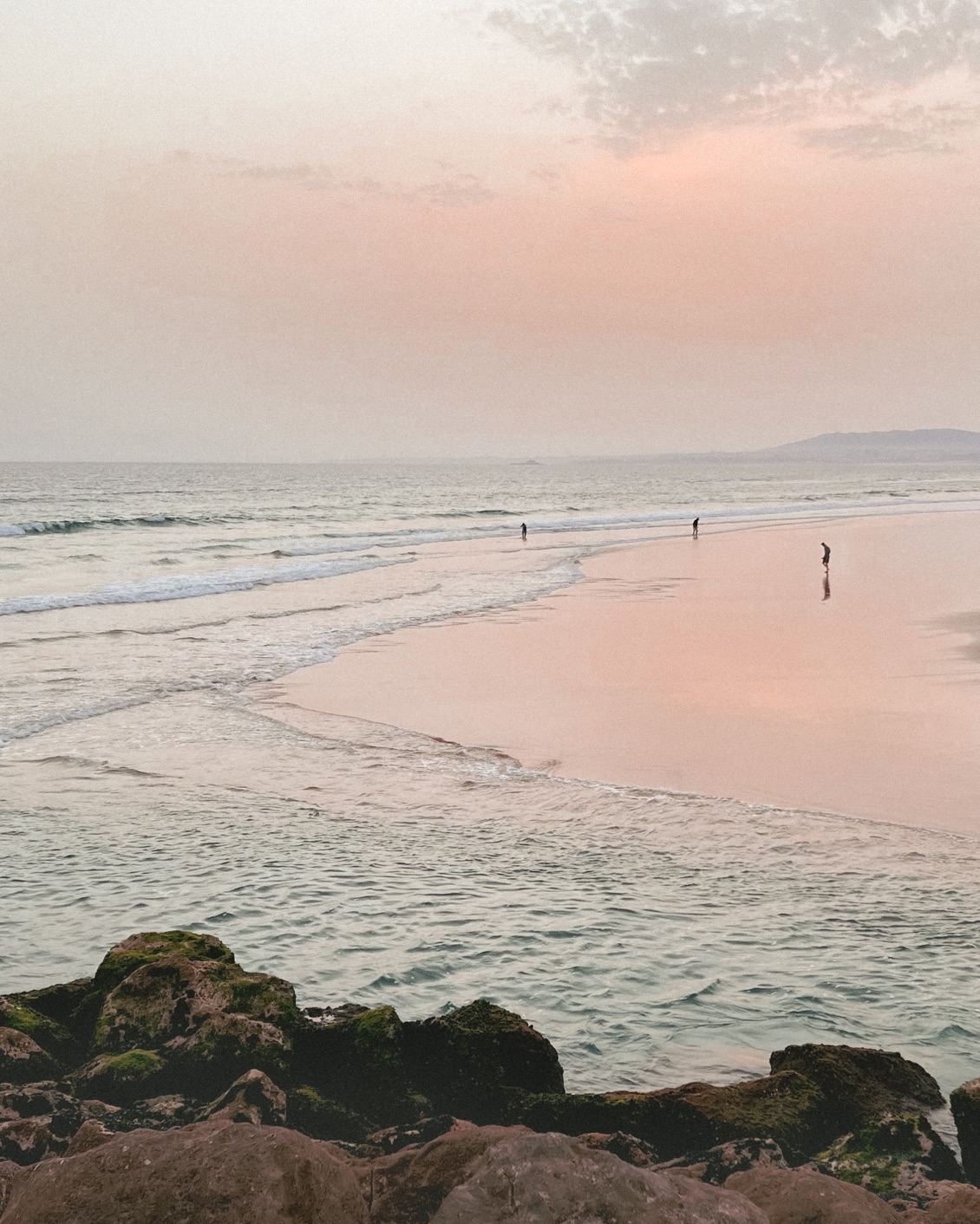 008 FL Muarts+Carlotta