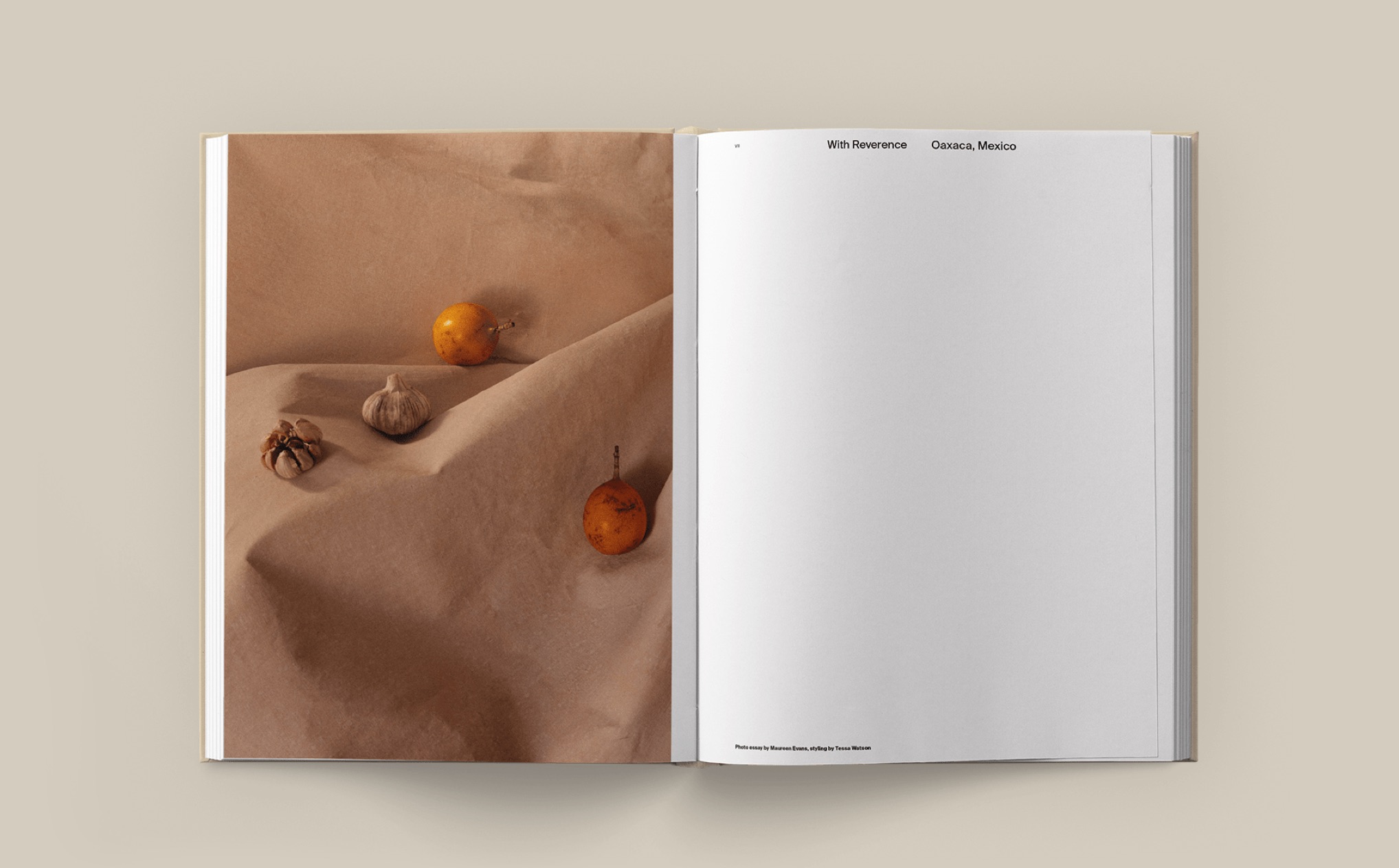 006.1 DH Book2022 Intro BP Layout