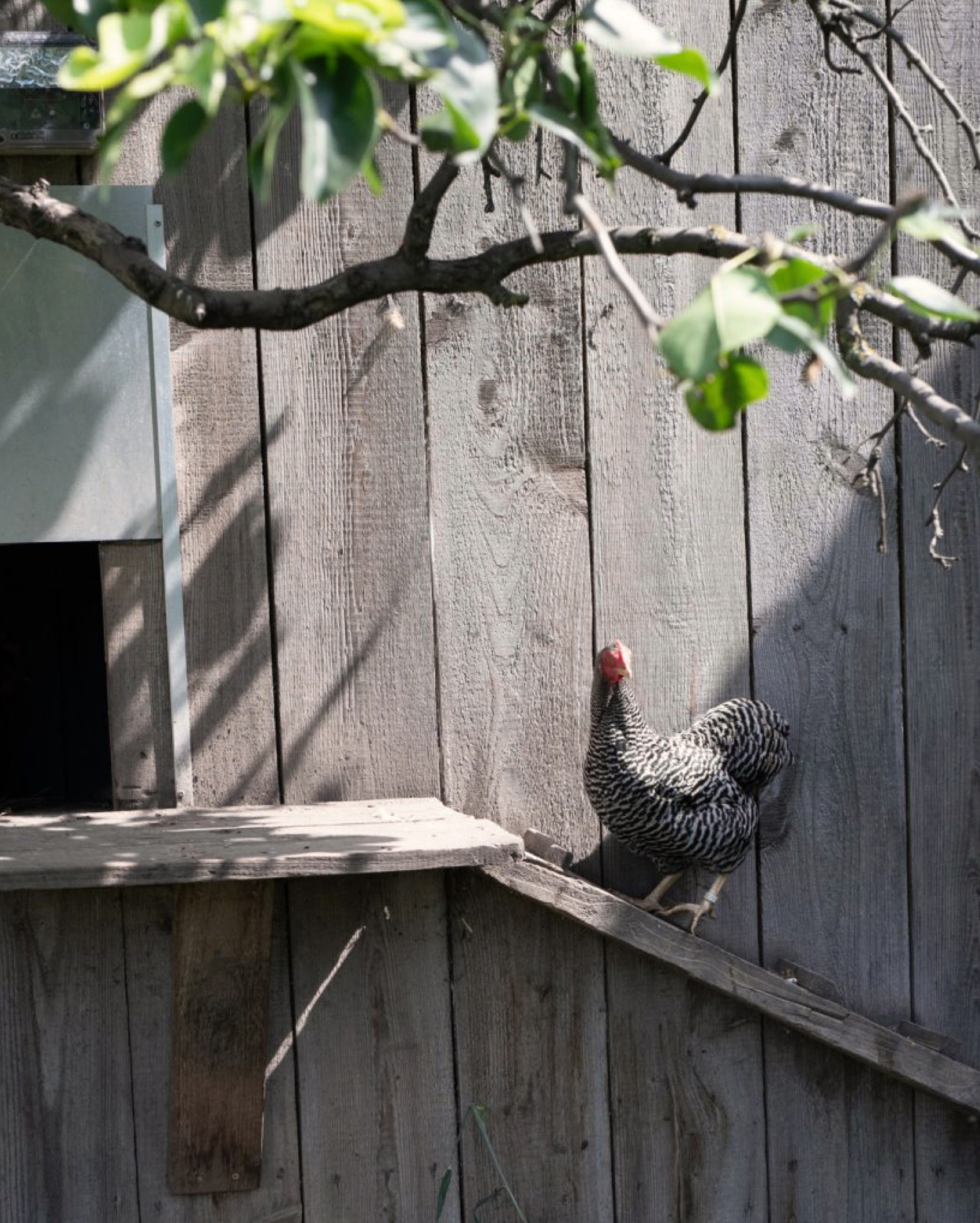 010 Biodynamics Vineyards Meinklang