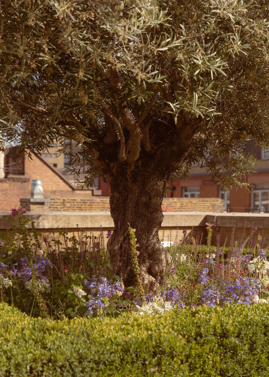 DH22 Studiolondon 04