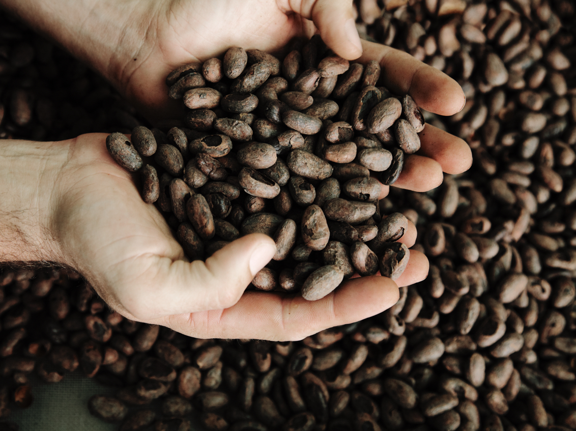 003 Rosas And Xocolate Cocoa Beans