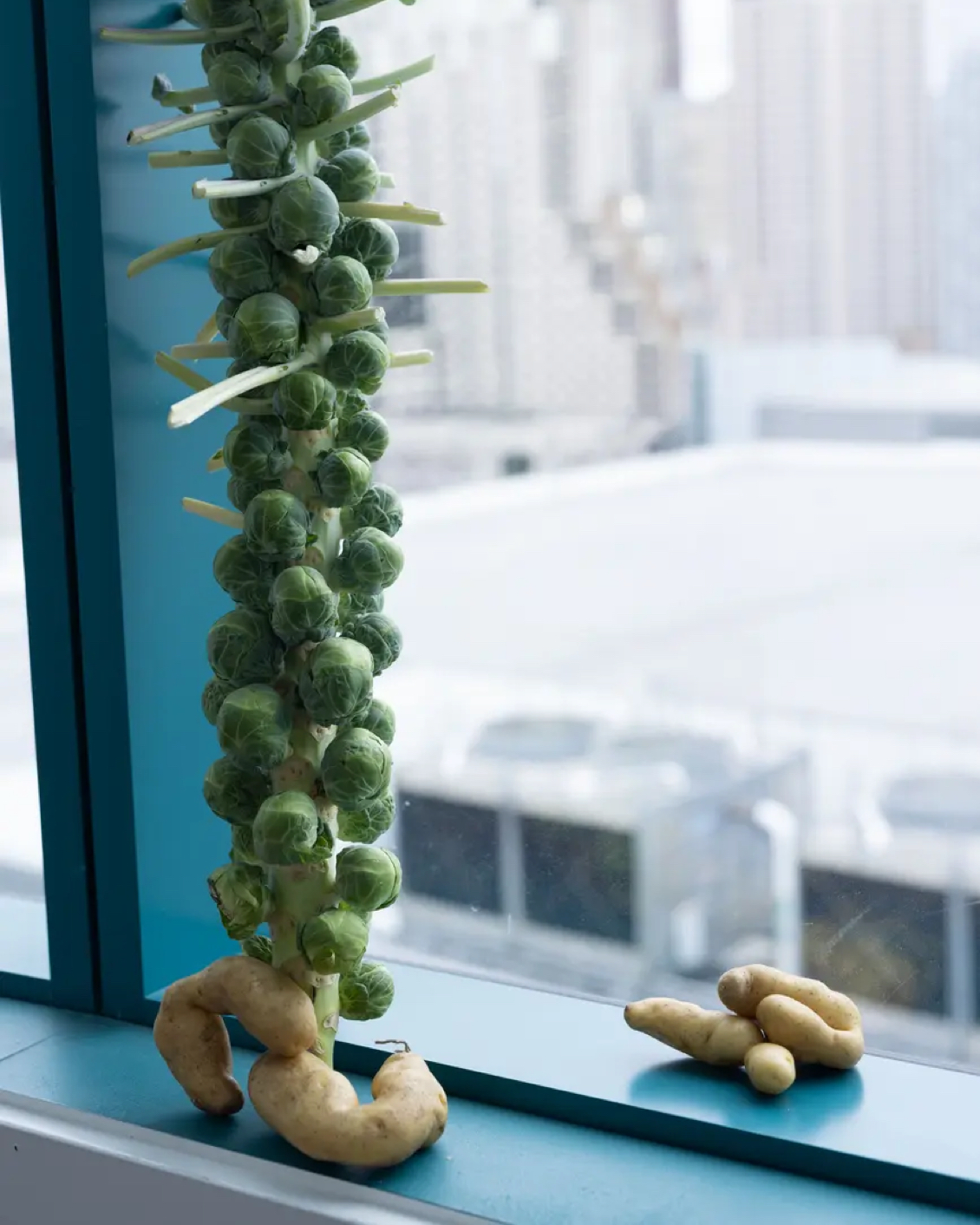 12 BE 25 Dresden Tillmans