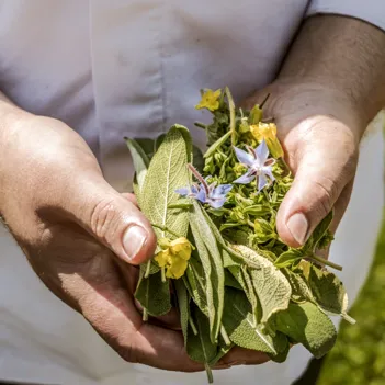 Seegut Zeppelin Usp 02