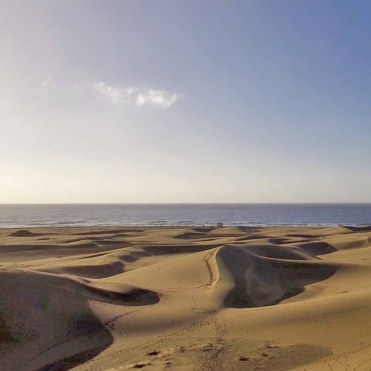 Sustainable Hotel Bohemia 02