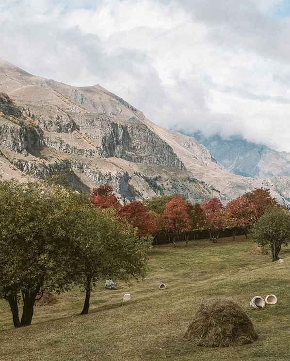 Destination Guide Georgia