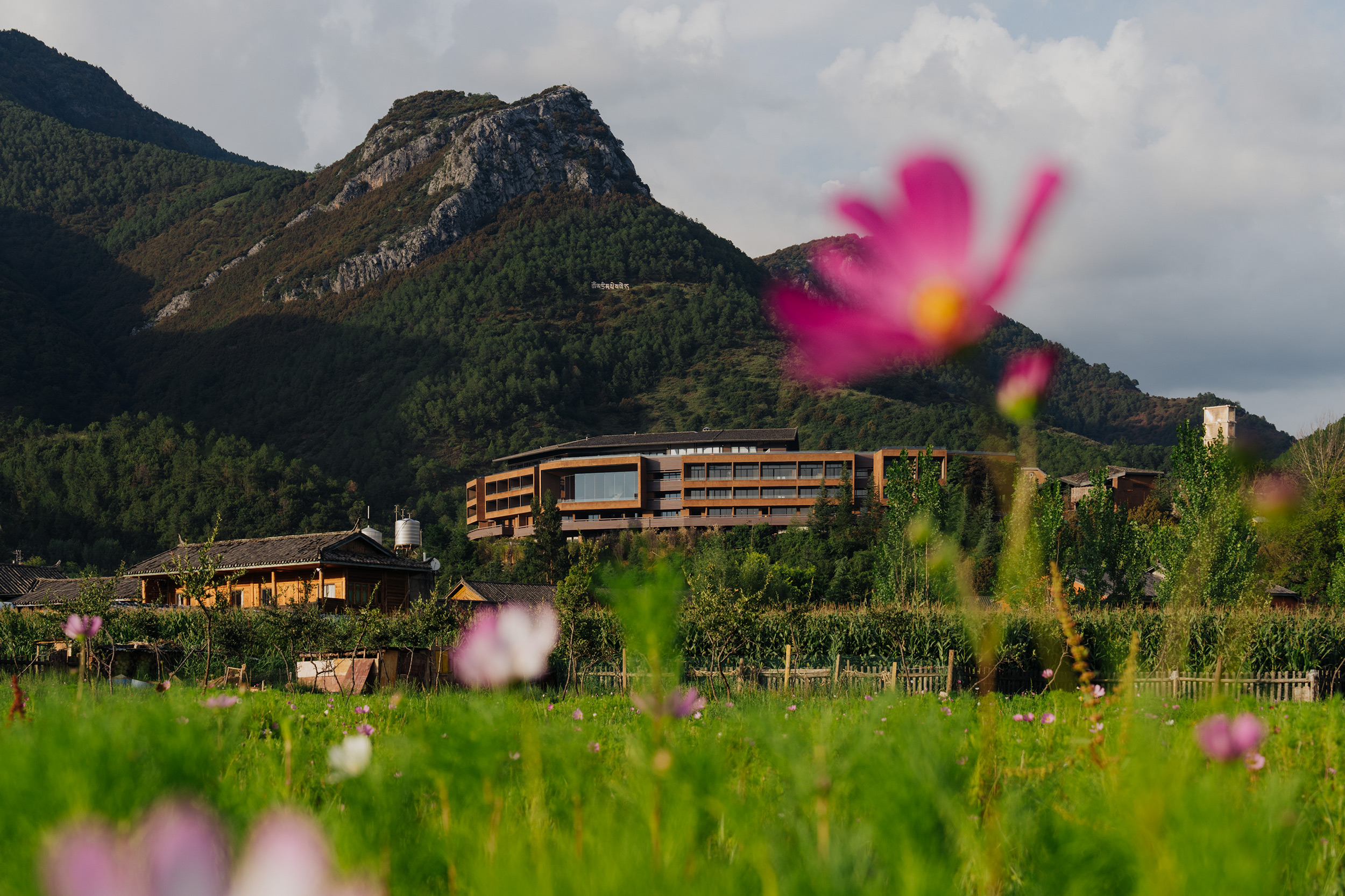 G 01 The Arcadia Place China