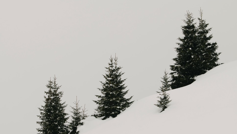 009 Rote Wand Walch Nature Winter