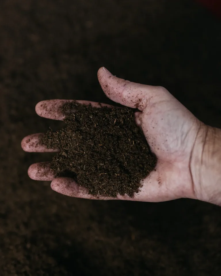 005 MBO Dr Wilkinson