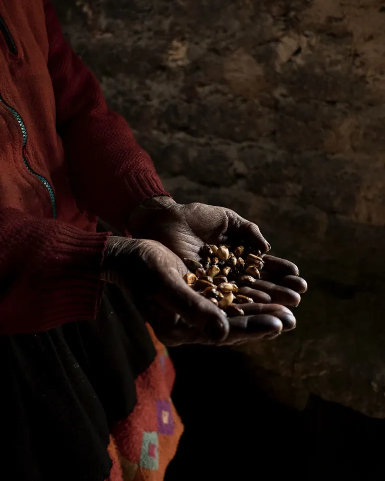 Pachamama's Land Part I 004