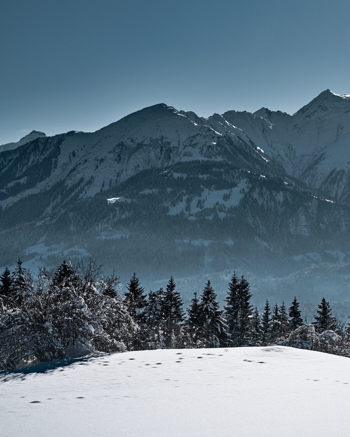 004 The Hide Hotels Flims Mountains