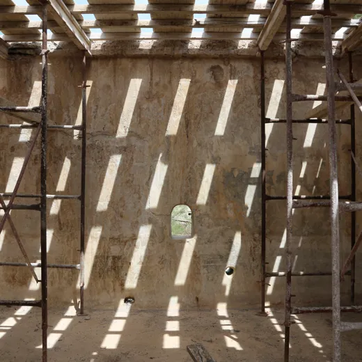 Conscious Eye Dexamenes 2