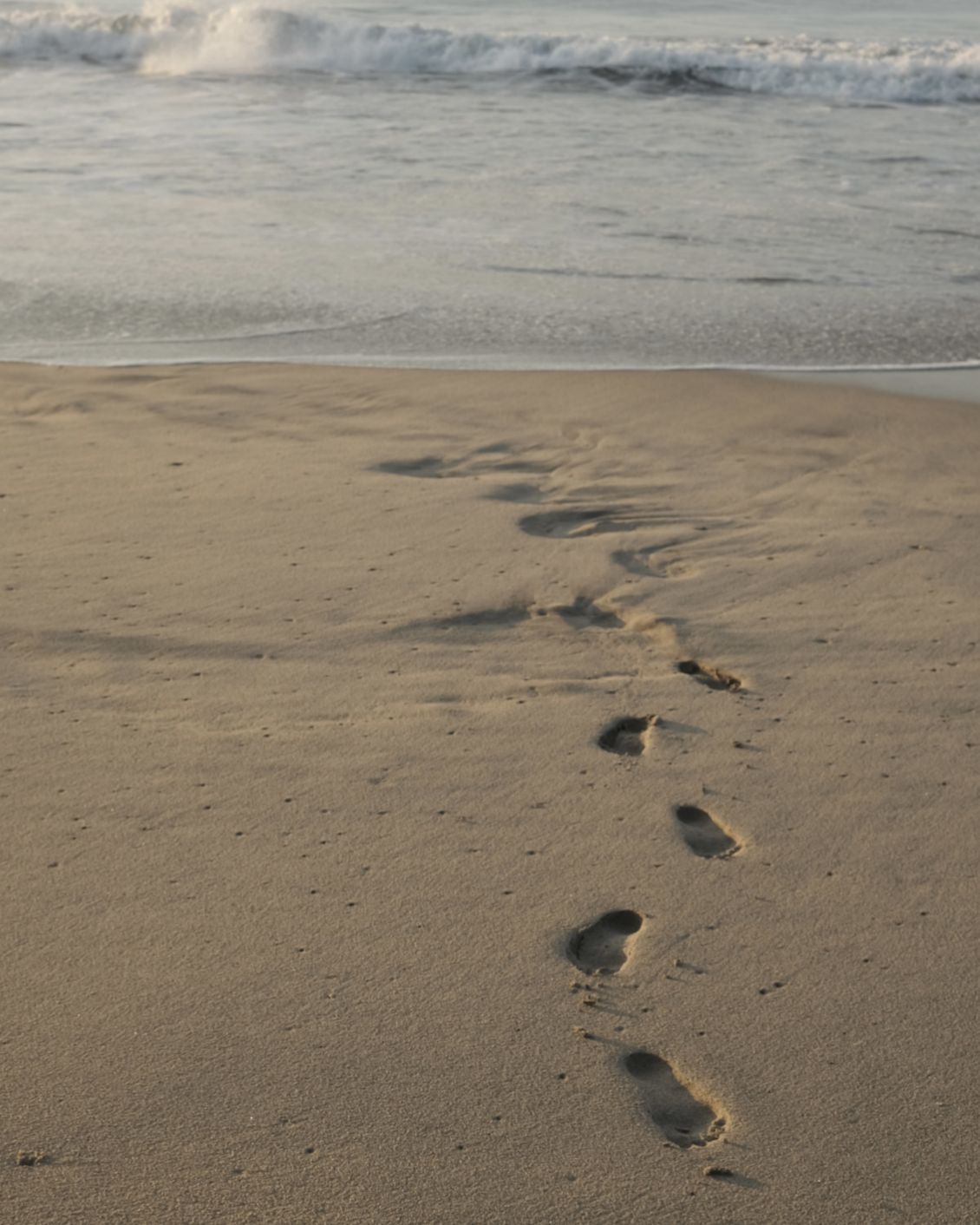 16 DH Essay By Maya Poon Love Letter To Oaxaca Beach