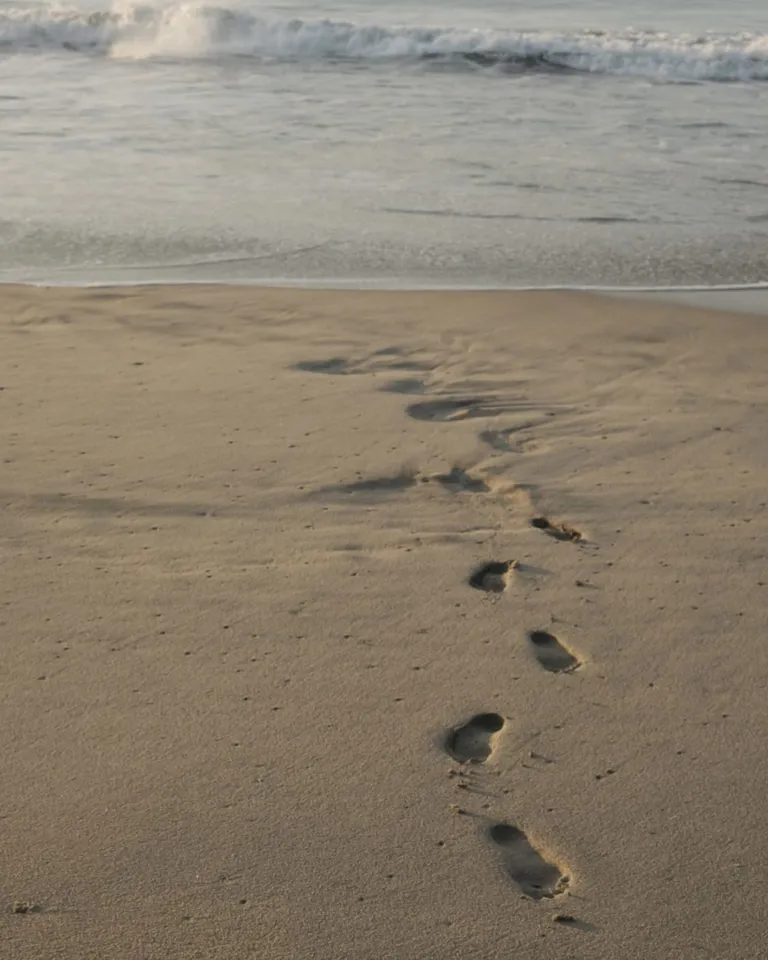 16 DH Essay By Maya Poon Love Letter To Oaxaca Beach