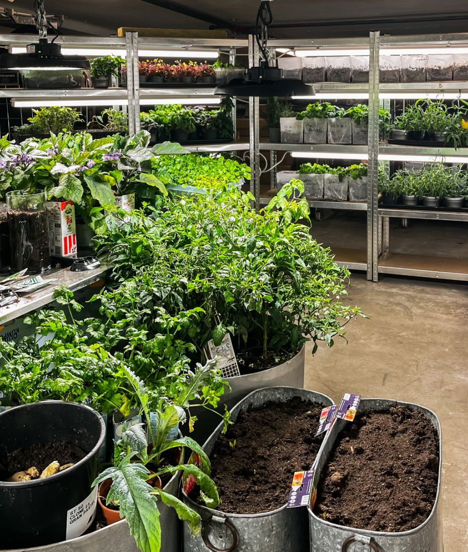 04 Blique By Nobis Indoor Outdoor Farming Plants