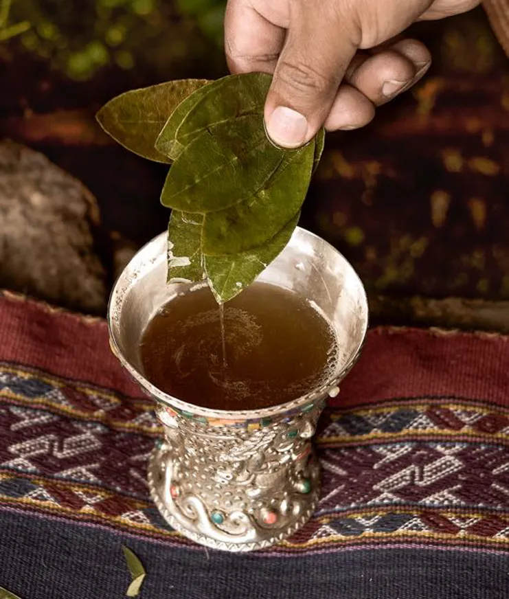 Pachamama's Land Part I 008