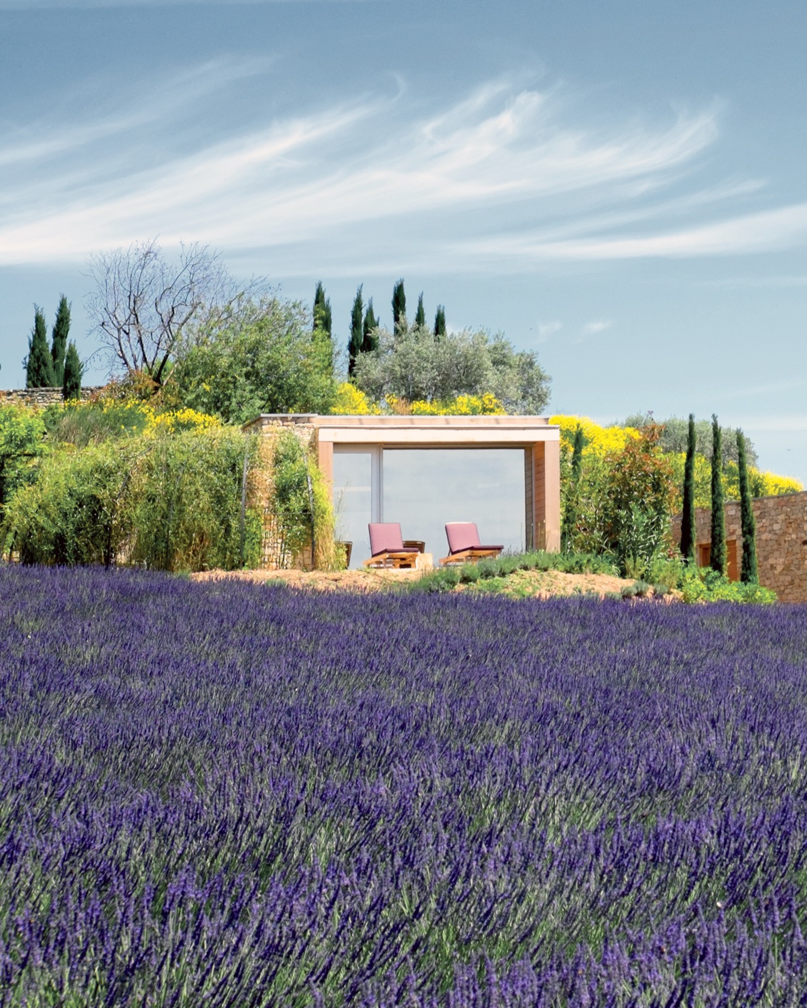 Culture Article Patone Veri Peri 10 Les Andéols