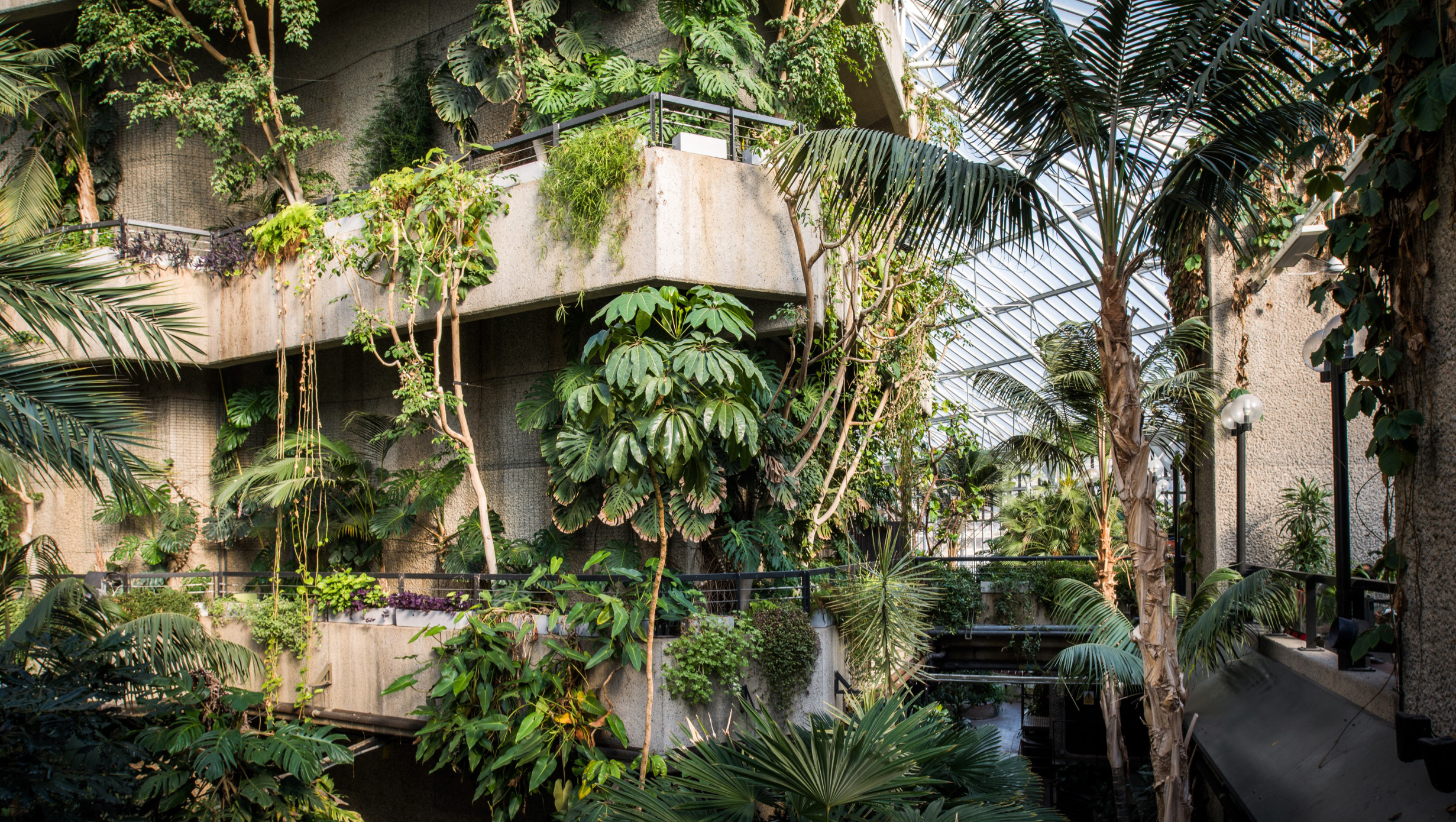 02A Biophilic Design