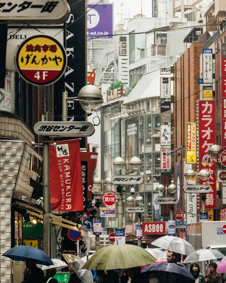 Trunk Hotel Theme Box 3