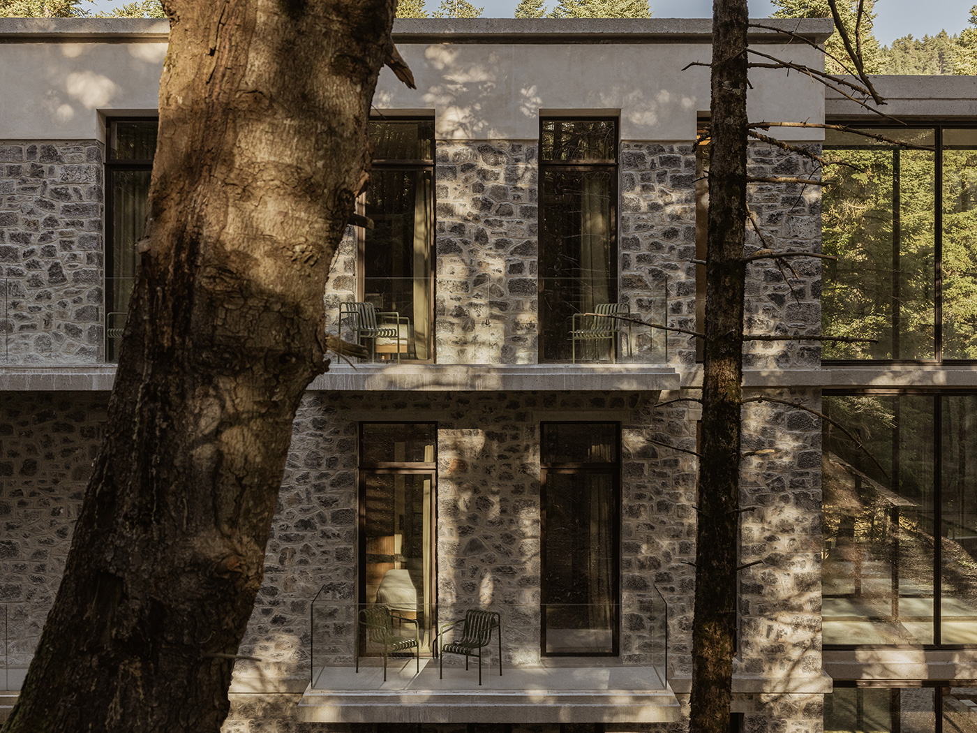 Manna In The Forest Superior Room R V3 05