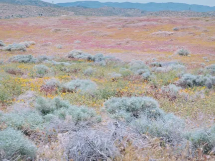 DH Culture BP Arianna Lago 06