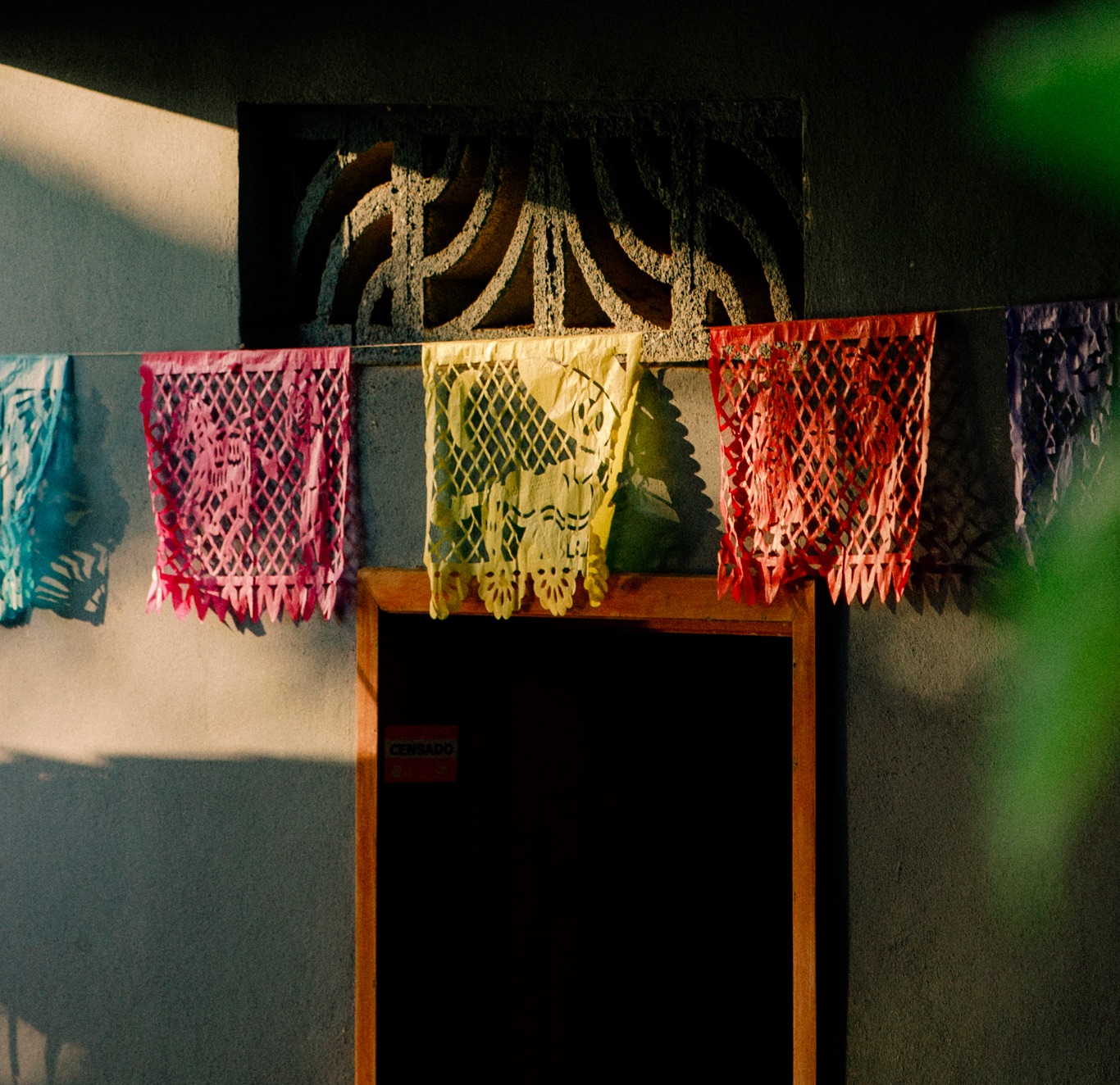 DH Earthcheck Header 01