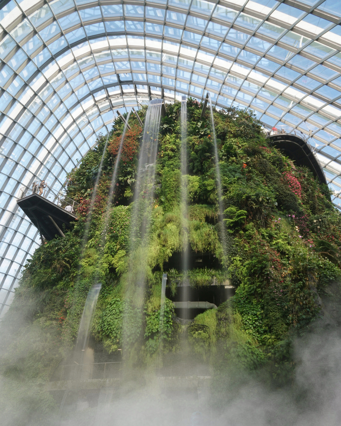 06 Biophilic Design (1)